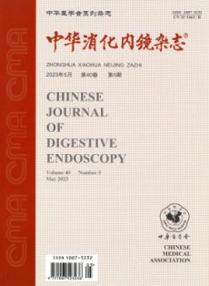 中华消化内镜